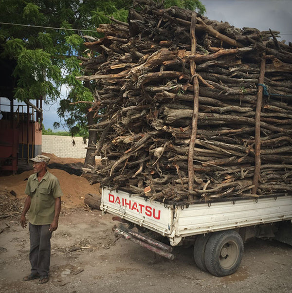 Eterično (esencijalno) ulje Amirisa