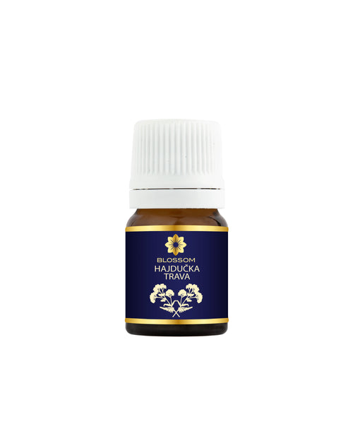 Eterično (esencijalno) ulje Hajdučke trave