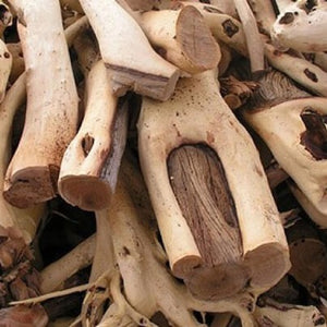 Blossom aromaterapija – eterično (esencijalno) ulje amirisa (Amyris balsamifera / Amyris essential oil), drvenasta i mirna aroma za opuštanje, san i emocionalni balans.