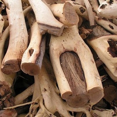 Blossom aromaterapija – eterično (esencijalno) ulje amirisa (Amyris balsamifera / Amyris essential oil), drvenasta i mirna aroma za opuštanje, san i emocionalni balans.