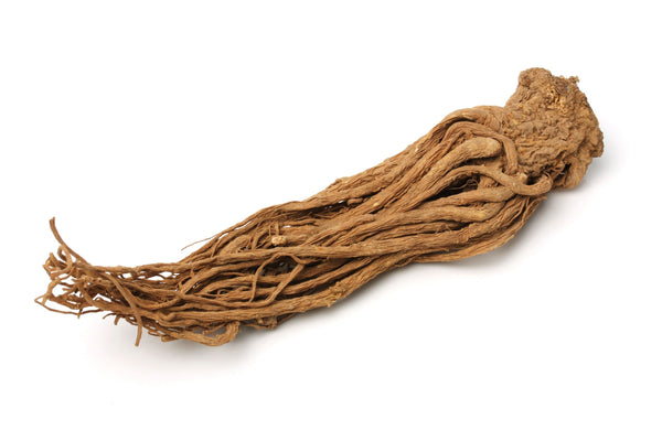 Blossom aromaterapija – eterično (esencijalno) ulje anđelike (Angelica archangelica / Angelica essential oil), mirna biljna aroma za ravnotežu, meditaciju i emotivni mir.