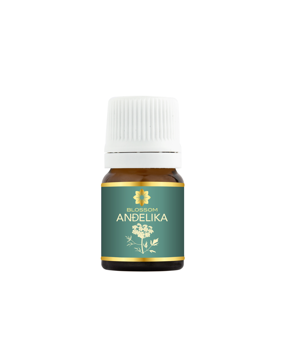 Blossom aromaterapija – eterično (esencijalno) ulje anđelike (Angelica archangelica / Angelica essential oil), mirna biljna aroma za ravnotežu, meditaciju i emotivni mir.