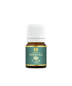 Blossom aromaterapija – eterično (esencijalno) ulje anđelike (Angelica archangelica / Angelica essential oil), mirna biljna aroma za ravnotežu, meditaciju i emotivni mir.