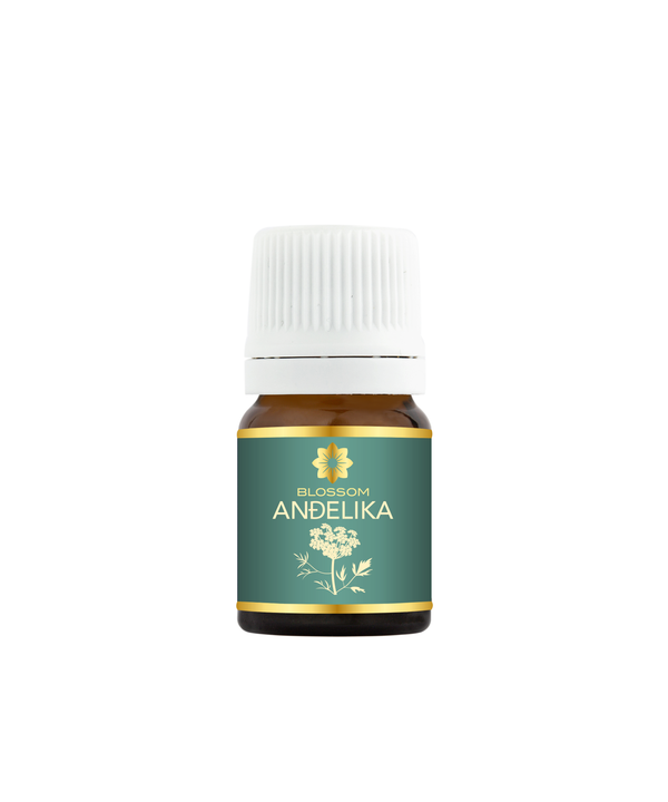 Blossom aromaterapija – eterično (esencijalno) ulje anđelike (Angelica archangelica / Angelica essential oil), mirna biljna aroma za ravnotežu, meditaciju i emotivni mir.