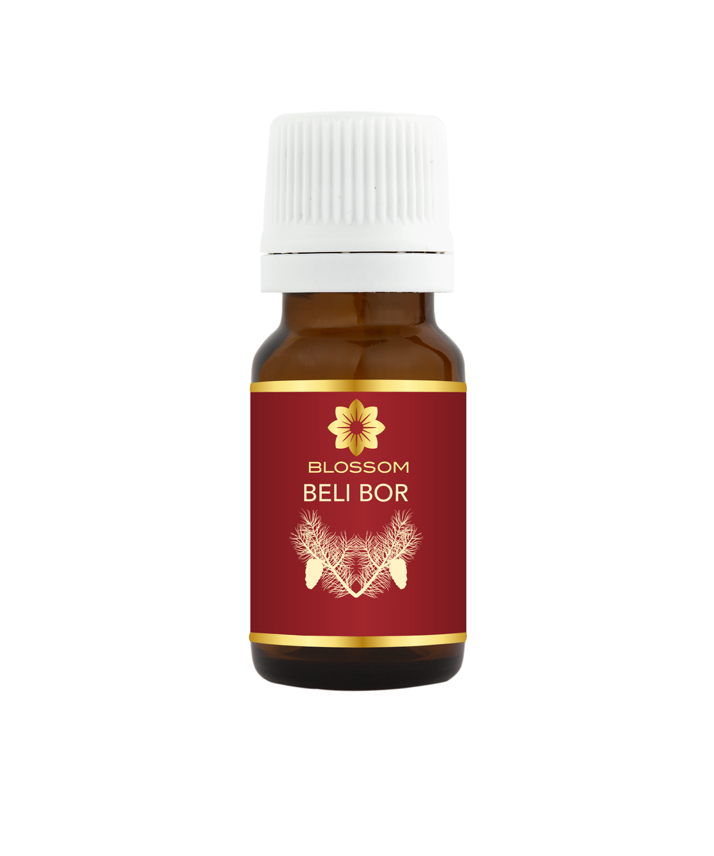 Blossom aromaterapija – eterično (esencijalno) ulje belog bora (Pinus sylvestris / Pine essential oil), sveža šumska aroma za disanje, energiju i osveženje
