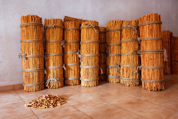 Blossom aromaterapija – eterično ulje cimeta (Cinnamomum zeylanicum / Cinnamon essential oil), topao začinski miris za energiju, cirkulaciju i jačanje imuniteta.