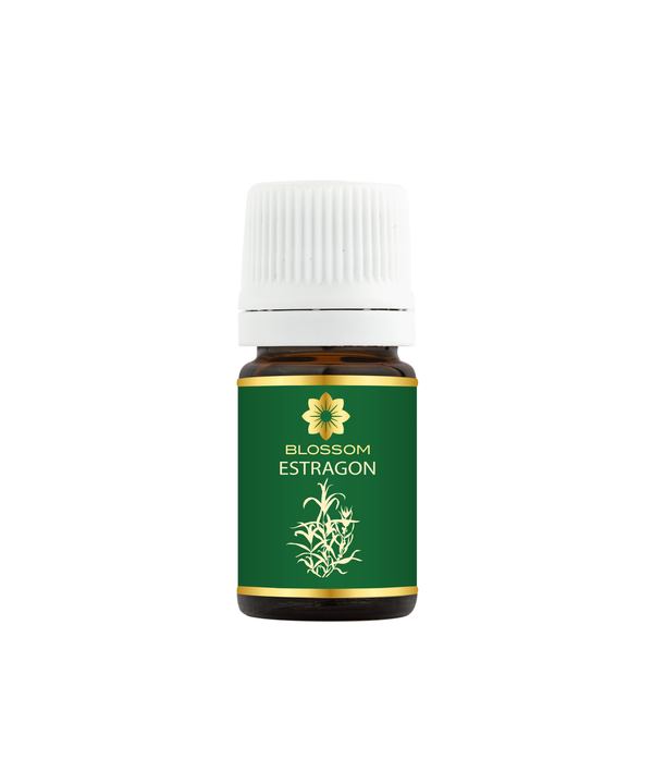 Blossom aromaterapija – eterično ulje estragona (Artemisia dracunculus / Tarragon essential oil), biljno-začinska aroma za probavni balans, smirenje i emotivnu ravnotežu.