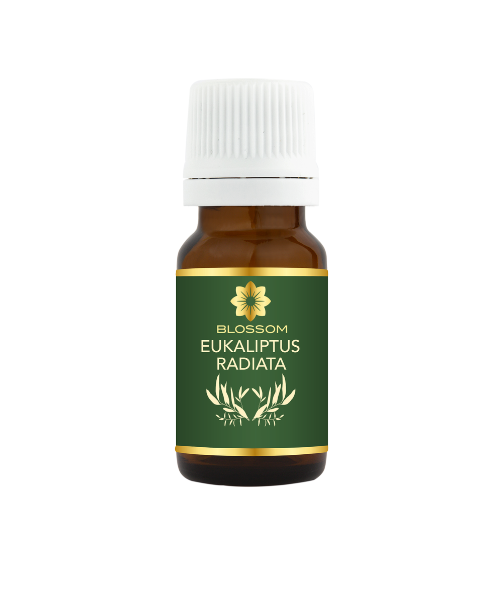 Blossom aromaterapija – eterično ulje eukaliptusa radiata (Eucalyptus radiata / Radiata essential oil), blaga sveža aroma za disanje, imunitet i pročišćavanje prostora.