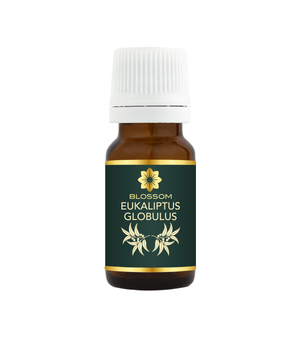 Blossom aromaterapija – eterično ulje eukaliptusa globulus (Eucalyptus globulus / Eucalyptus essential oil), snažna sveža aroma za disanje, koncentraciju i pročišćavanje vazduha.
