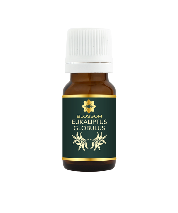 Blossom aromaterapija – eterično ulje eukaliptusa globulus (Eucalyptus globulus / Eucalyptus essential oil), snažna sveža aroma za disanje, koncentraciju i pročišćavanje vazduha.