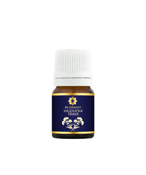 Blossom aromaterapija – eterično ulje hajdučke trave (Achillea millefolium / Yarrow essential oil), biljna regenerativna aroma za kožu, smirenje i emotivnu stabilnost.