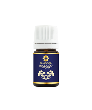 Blossom aromaterapija – eterično ulje hajdučke trave (Achillea millefolium / Yarrow essential oil), biljna regenerativna aroma za kožu, smirenje i emotivnu stabilnost.