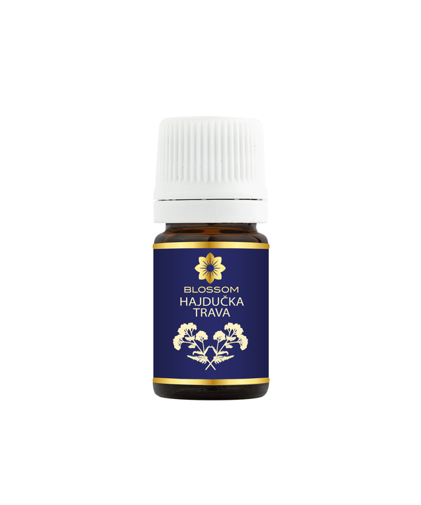 Blossom aromaterapija – eterično ulje hajdučke trave (Achillea millefolium / Yarrow essential oil), biljna regenerativna aroma za kožu, smirenje i emotivnu stabilnost.