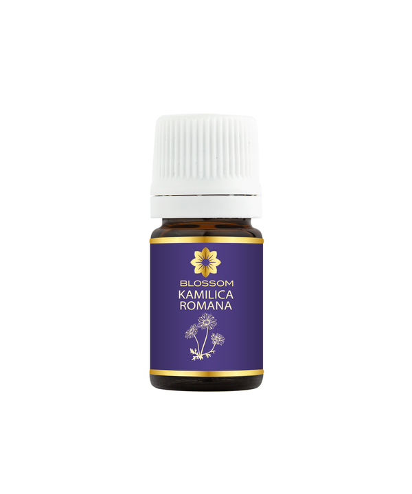 Blossom aromaterapija – eterično ulje kamilice romane (ANTHEMIS NOBILIS / Roman Chamomile essential oil), nežna cvetna aroma za smirenje, san i negu osetljive kože.
