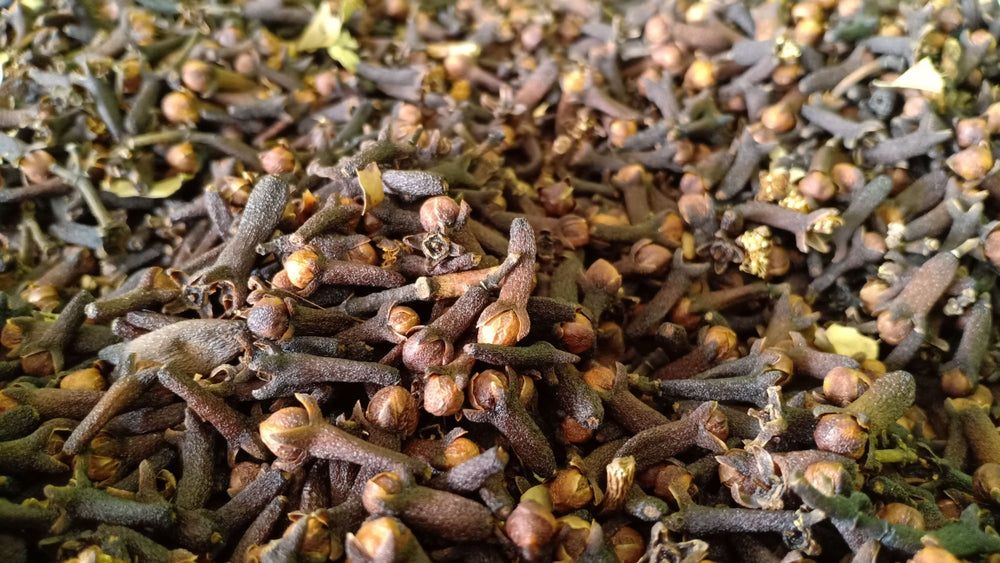 Blossom aromaterapija – eterično ulje karanfilić (Syzygium Aromaticum / Clove essential oil), topla začinska aroma za energiju, fokus i zaštitnu atmosferu u domu.