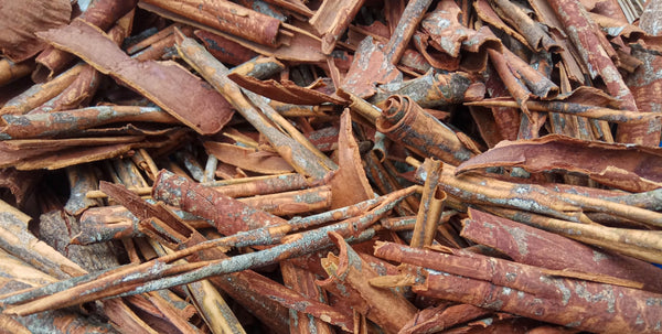 Blossom aromaterapija – eterično ulje kasia (Cinnamomum cassia / Cassia essential oil), topla začinska aroma koja podstiče energiju, vitalnost i zaštitu prostora.