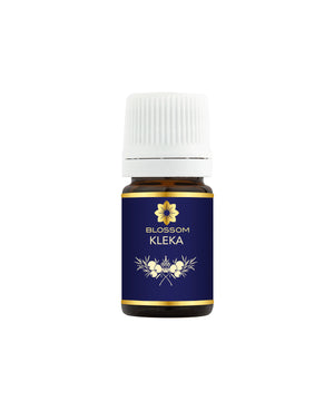 Blossom aromaterapija – eterično ulje kleke (Juniperus communis / Juniper essential oil), osvežavajuća smolasto-drvenasta aroma za detoksikaciju, imunitet i unutrašnji mir.