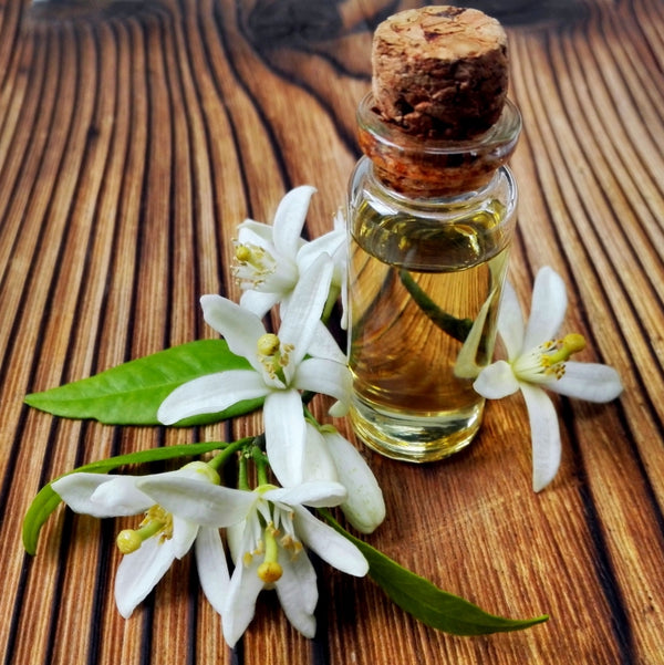 Blossom aromaterapija – eterično ulje neroli (Citrus aurantium amara / Neroli essential oil), luksuzna cvetno-citrusna aroma za regeneraciju kože, smirenje i emocionalnu harmoniju.