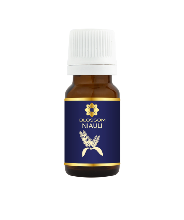 Blossom aromaterapija – eterično ulje niauli (Melaleuca quinquenervia / Niaouli essential oil), sveža biljna aroma za disanje, osveženje i vitalnost prostora.