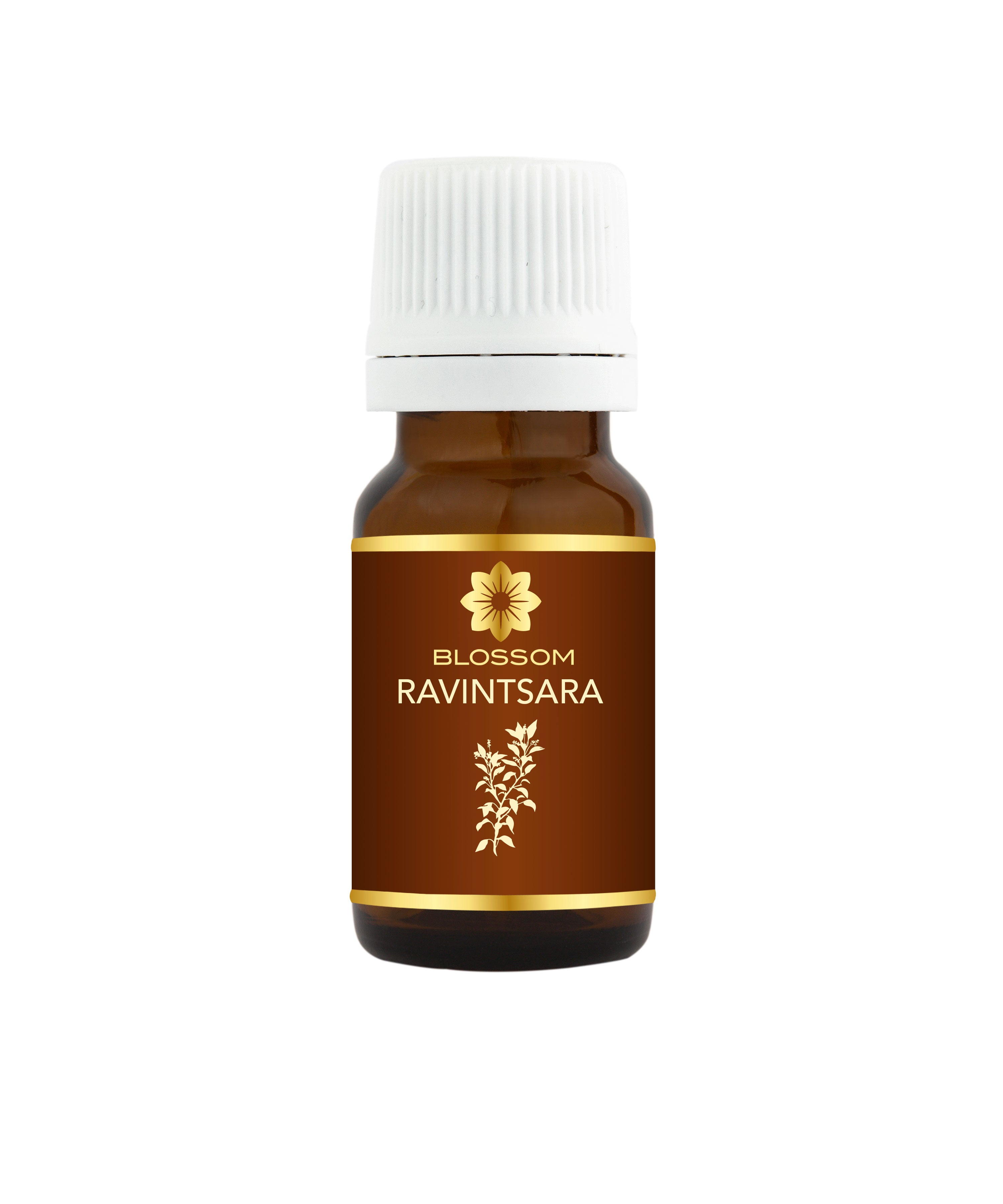 Blossom aromaterapija – eterično ulje ravintsara (Cinnamomum camphora var. linalool / Ravintsara essential oil), sveža biljna aroma za disanje, energiju i osveženje prostora.