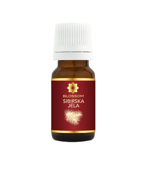 Blossom aromaterapija – eterično ulje sibirske jele (Abies sibirica / Siberian Fir essential oil), svež balzamično-drvenasti miris za disajne puteve, energiju i emocionalni balans.