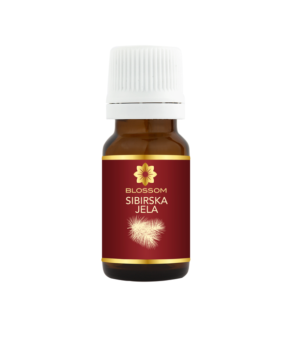 Blossom aromaterapija – eterično ulje sibirske jele (Abies sibirica / Siberian Fir essential oil), svež balzamično-drvenasti miris za disajne puteve, energiju i emocionalni balans.